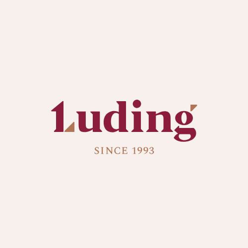 Luding group. Лудинг. Luding логотип. ООО Лудинг. Лудинг ТРЕЙД логотип.