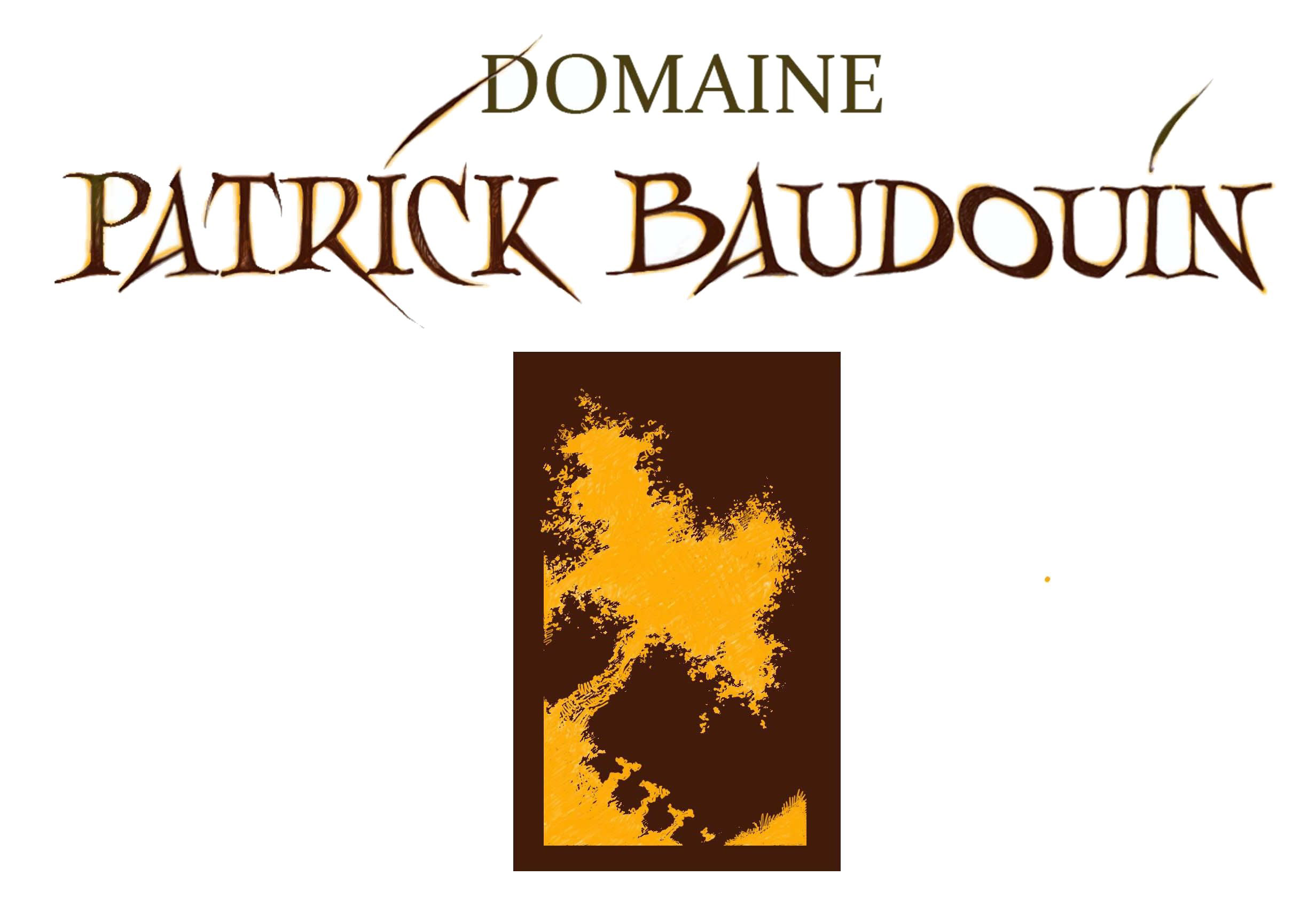 Domaine Patrick Baudouin