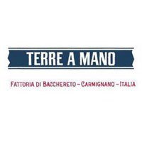 Fattoria di Bacchereto