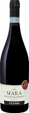 Вино Mara Valpolicella Ripasso DOC Superiore Cesari