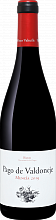Вино Pago de Valdoneje Bierzo DO Vinos Valtuille
